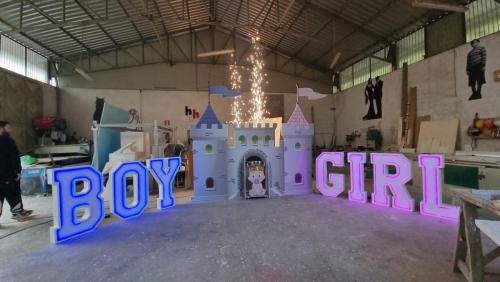 Castello Gender Reveal